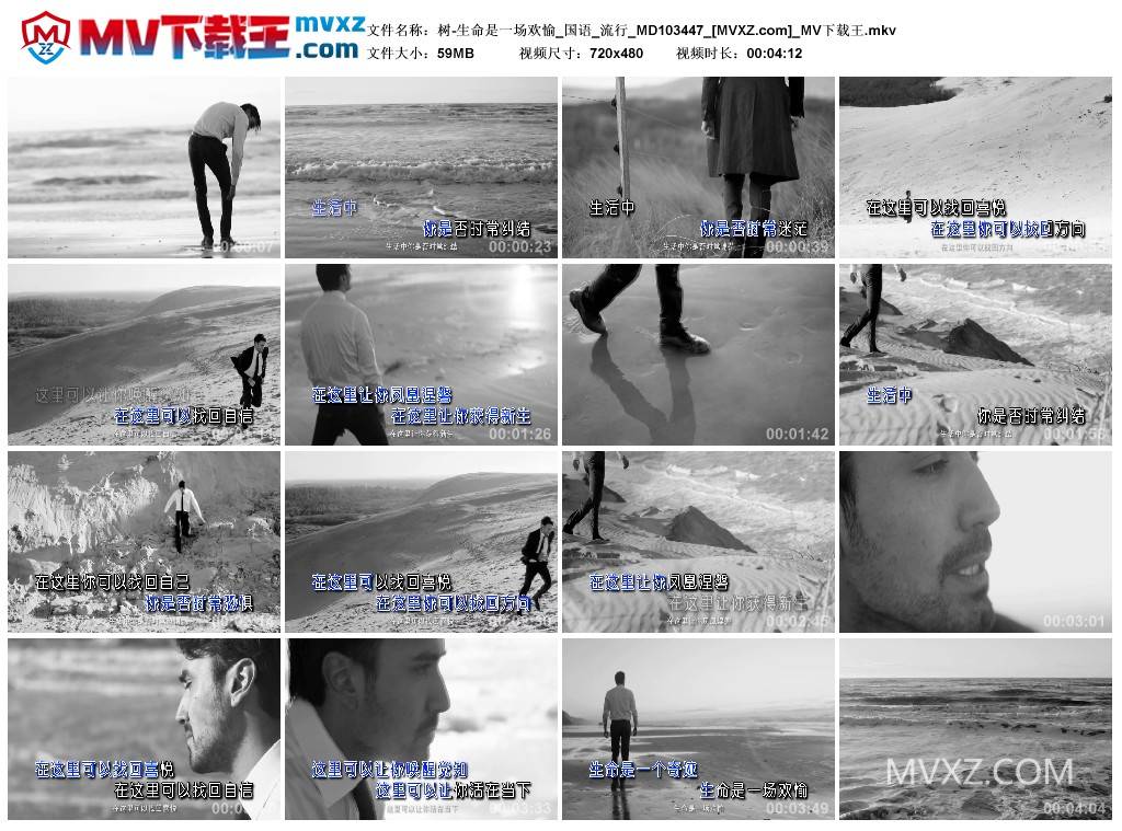 树-生命是一场欢愉_国语_流行_MD103447
